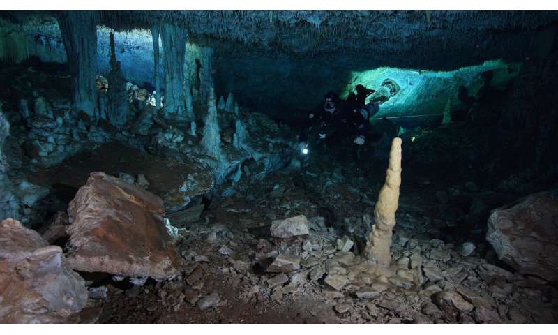 Divers uncover mysteries of earliest inhabitants of Americas deep inside Yucatan caves