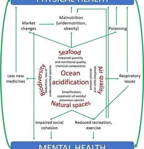 Ocean acidification and human health