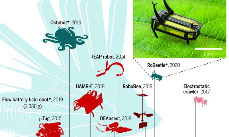 Beyond batteries: scientists build a beetle robot powered by methanol
