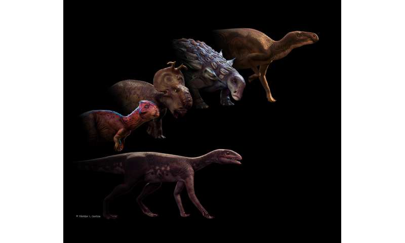 Sacisaurus helps to fill the hole in the evolution of ornithischians