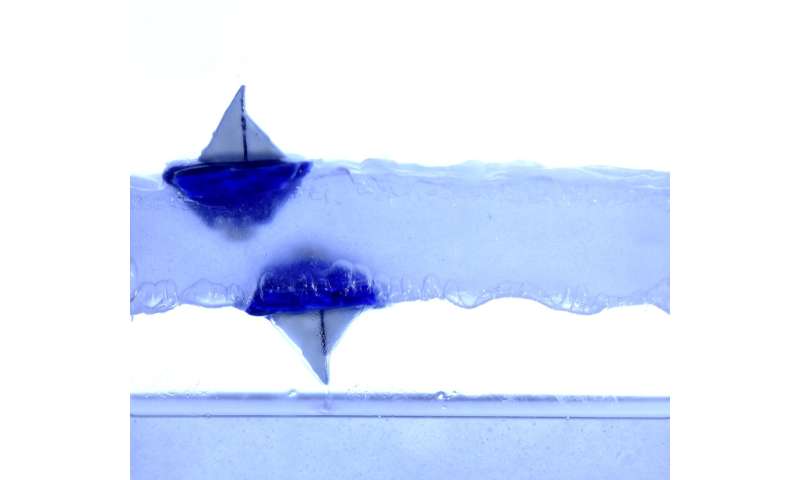 Floating a boat on the underside of a liquid