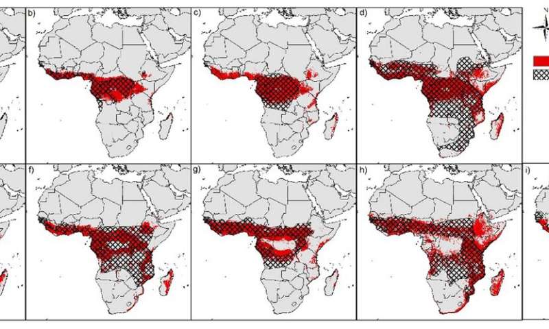 El rango de distribución de los portadores del virus del Ébola en África puede ser mayor de lo que se suponía anteriormente