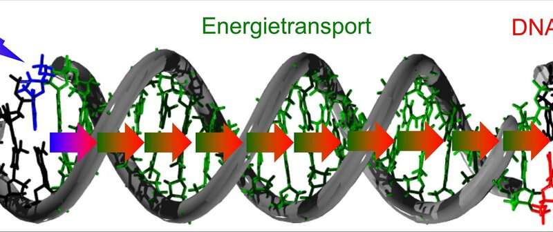 DNA damage caused by migrating light energy