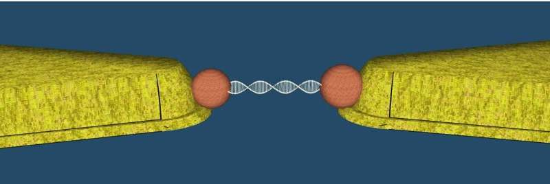 Harnessing DNA molecules for disease detection and electronics