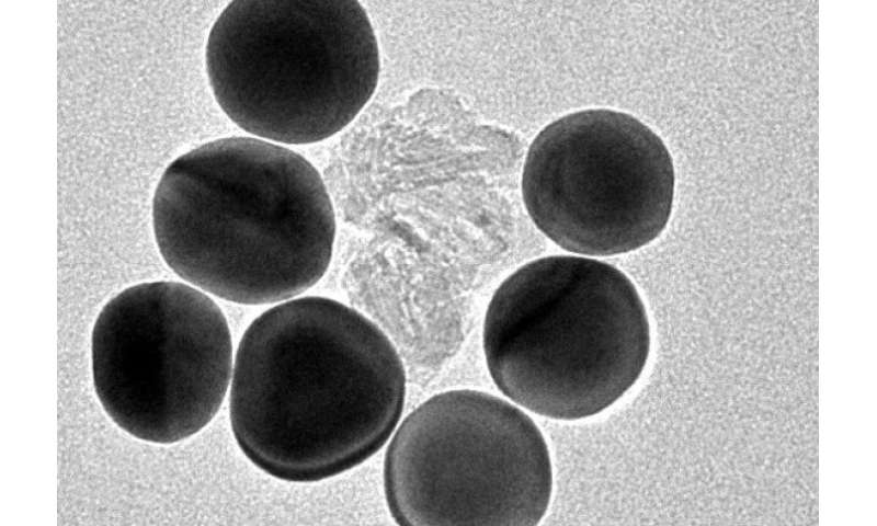 Grootte bepaalt hoe nanodeeltjes biologische membranen beïnvloeden