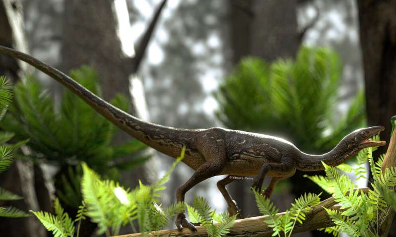 Researchers reconstruct the first complete brain of one of the oldest dinosaurs