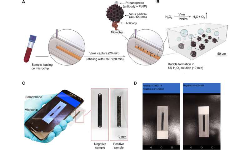 Smartphone camera used to diagnose various viral infections