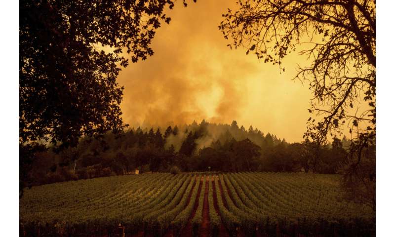 Dying winds give crews hope in Northern California fires