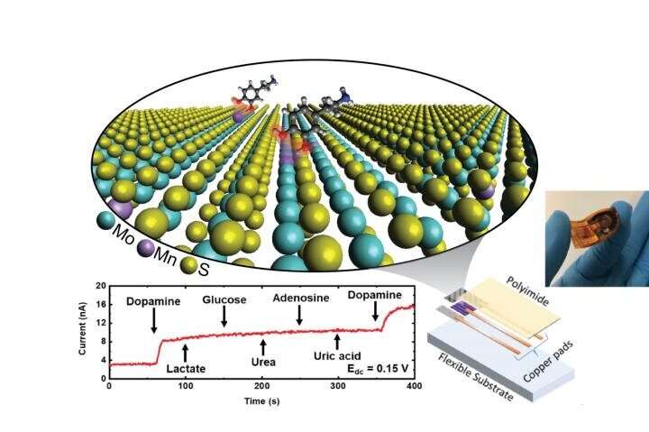 Highly sensitive dopamine detector uses 2D materials