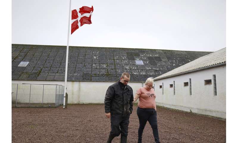 丹麦北部的水貂养殖场因变异病毒被封锁