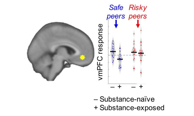 Researchers show risk-averse teens sway peers to make safer choices thumbnail