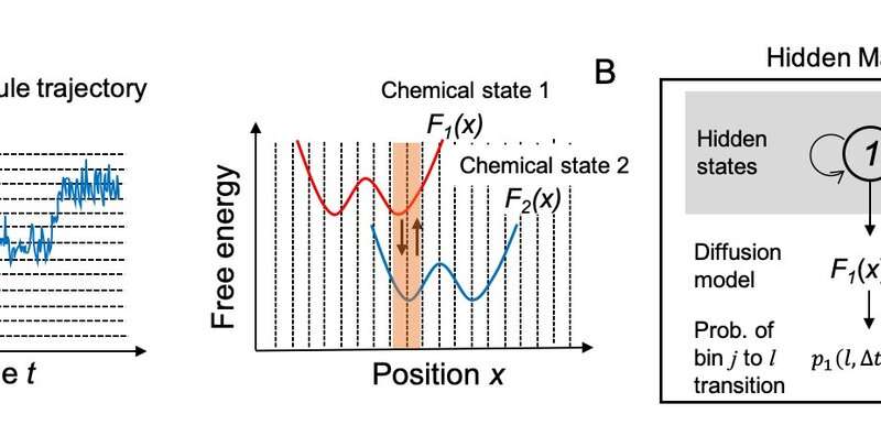 Mathematical modeling revealed how chitinase, a molecular monorail, obeys a one-way sign