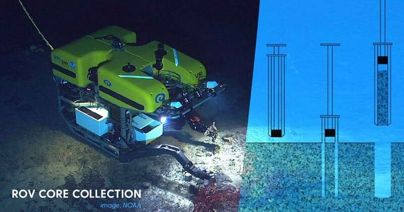 Study looks at life inside and outside of seafloor hydrocarbon seeps