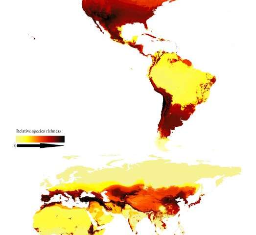 Researchers create the world's first map of bee species