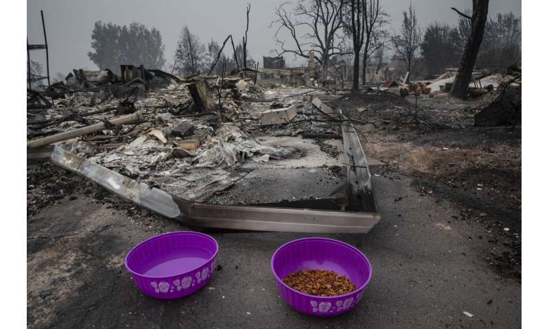 Smoke chokes West Coast as wildfire deaths keep climbing