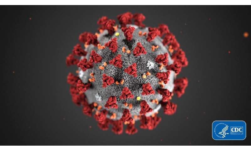 A crowdsourced computing project aims to find pockets or &quot;holes&quot; in the coronavirus which can be attacked with drugs
