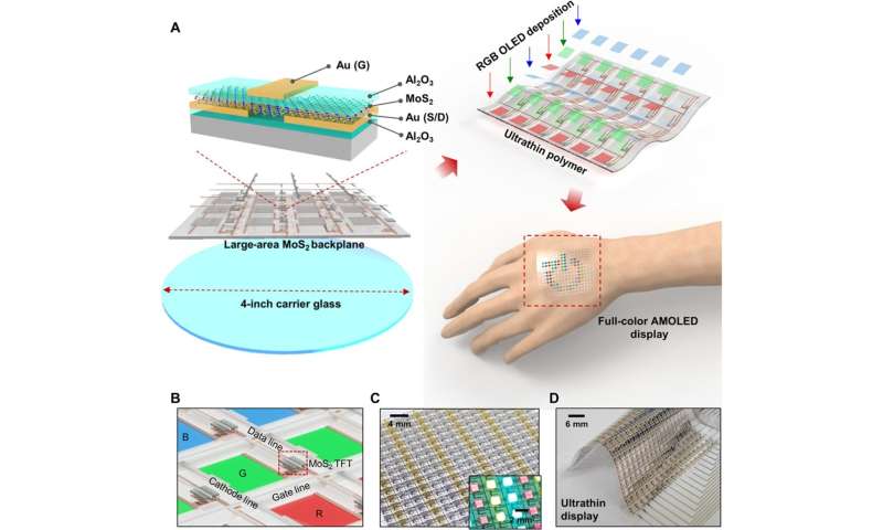 Active-matrix organic light-emitting diode display on human skin