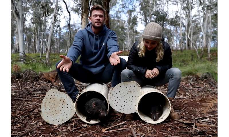 Actors Chris Hemsworth (L) and Elsa Pataky helped release the animals at a sanctuary in New South Wales