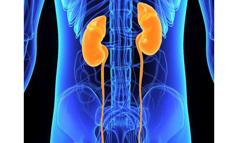 Acute kidney injury seems to promote renal cell carcinoma