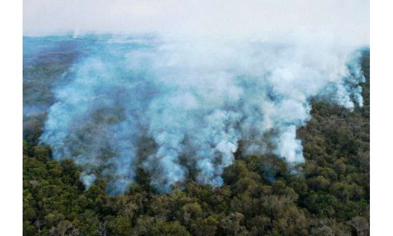 Aerial view showing large scale forest fires in Pocone, Pantanal region (the largest tropical wetlands in the world), Mato Gross