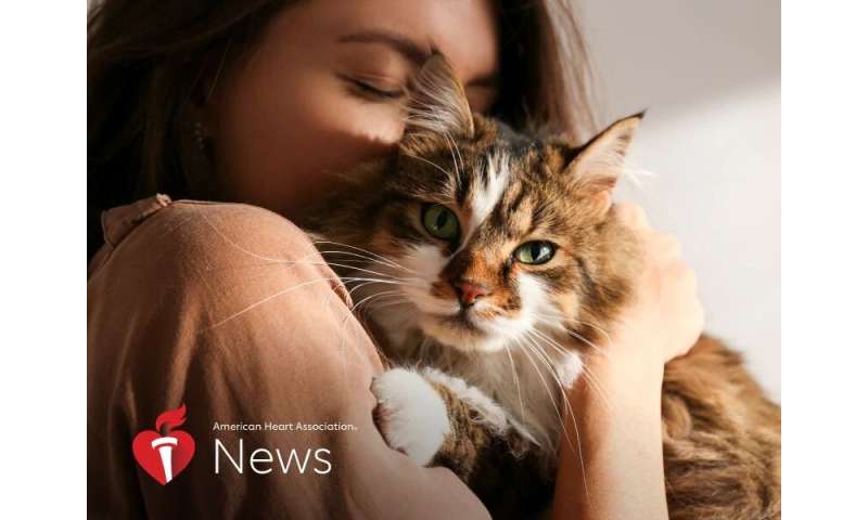 AHA news: want your cat to stay in purrrfect health? watch out for heart disease