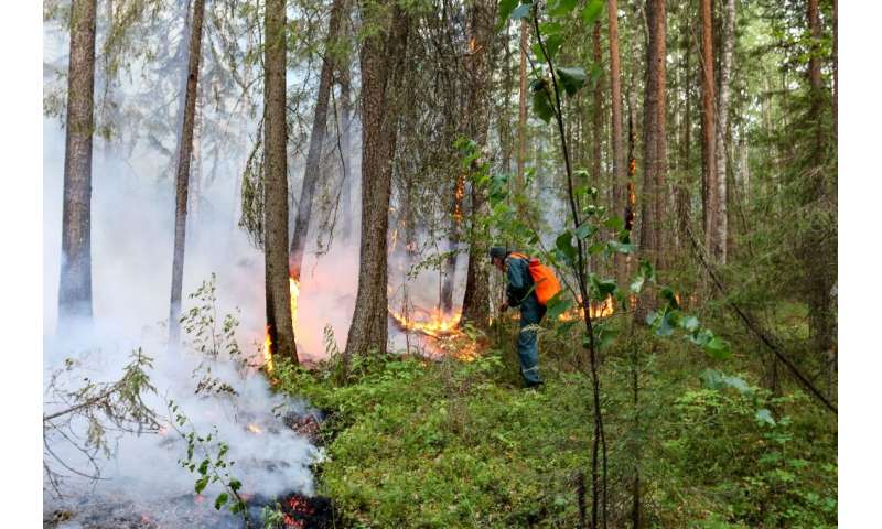 A heatwave caused by changing climate in northern Siberia has contributed to the severity of fires this year