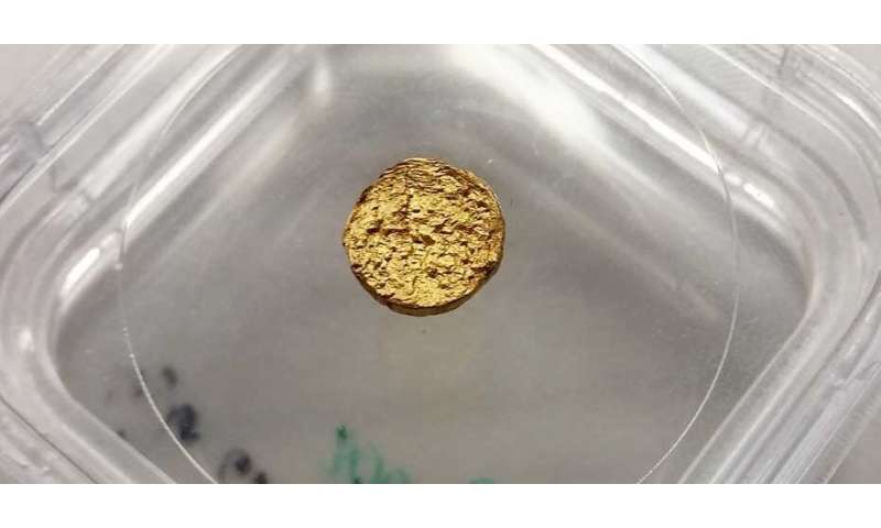An 18-carat gold nugget made of plastic An18caratgol