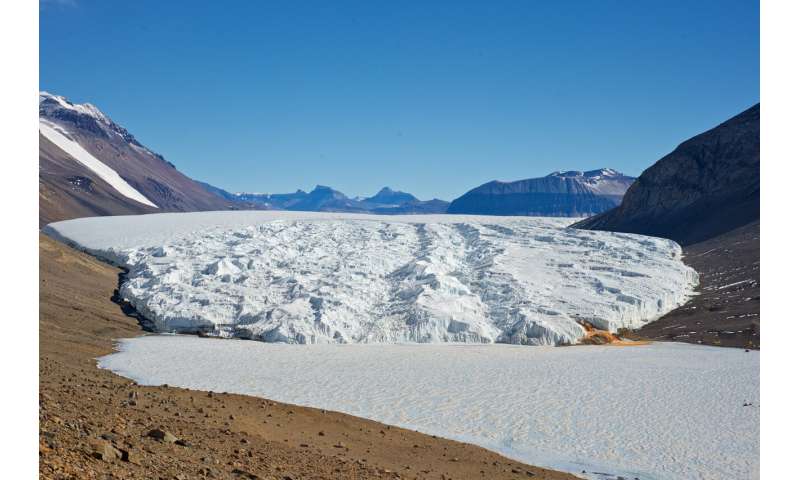 Ancient gene family protects algae from salt and cold in an Antarctic lake