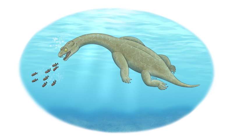 Ancient marine predator had a built-in float