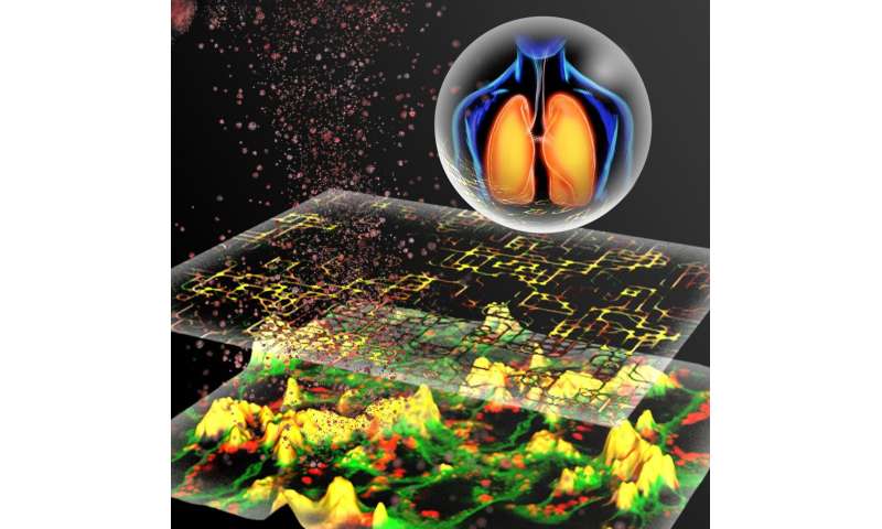 Diervrije methode voorspelt de toxiciteit van nanodeeltjes voor veiligere industriële materialen