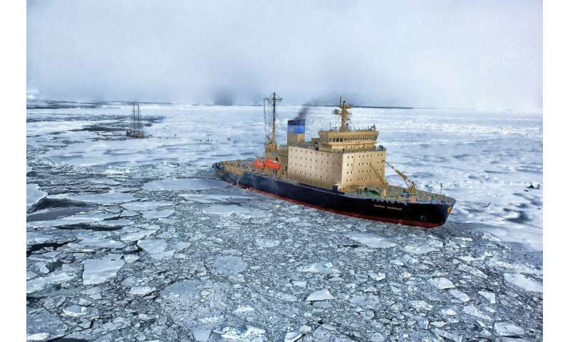 A ‘regime shift’ is happening in the Arctic Ocean, scientists say | The Extinction Chronicles