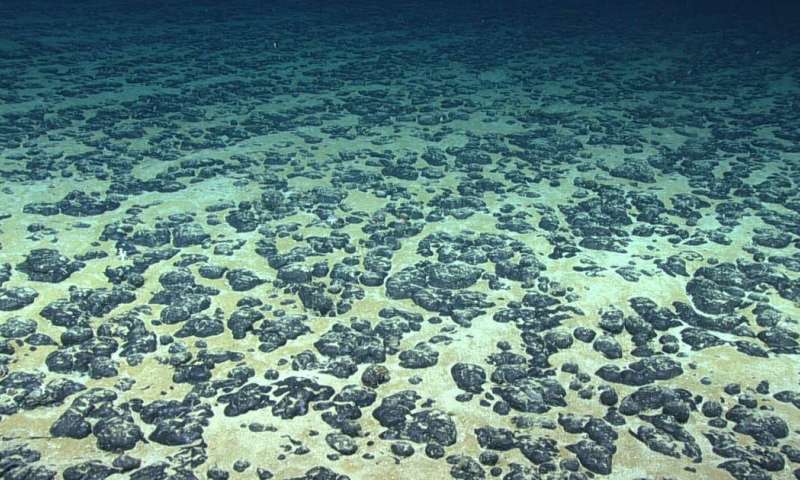 A rush is on to mine the deep seabed, with effects on ocean life that aren't well understood