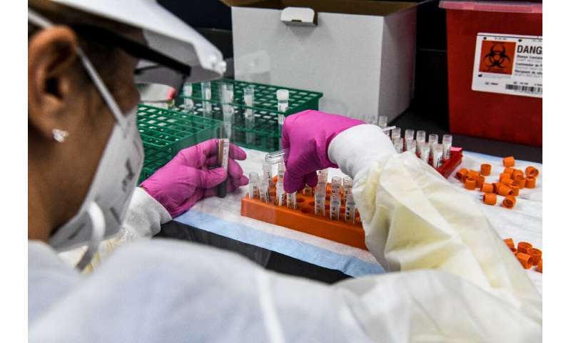 2020年8月13日，在佛罗里达州好莱坞的一个实验室里，一名技术人员在进行Covid-19疫苗研究期间对血液样本进行分类