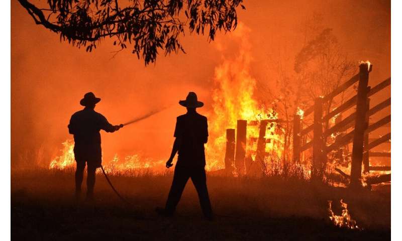 Australia's devastating 2019-2020 bushfires killed or displaced nearly three billion animals and cost the economy an estimated U
