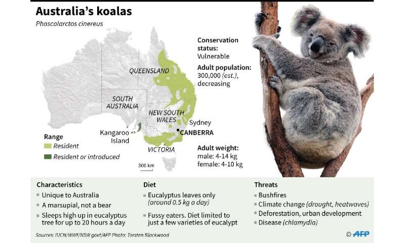Koalas may be extinct in Australia's New South Wales by 2050 Prelim Punch @  abhipedia Powered by ABHIMANU IAS