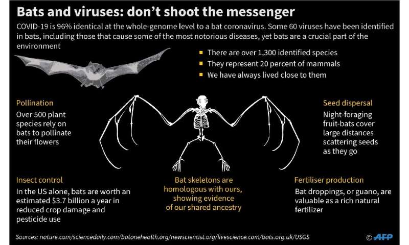 Bats and viruses: don't shoot the messenger