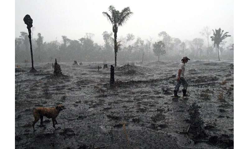 Brazil has been criticized over large-scale deforestation and fires that ravage the world's largest rainforest during the dry se