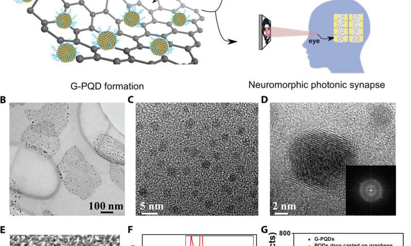 Building ultrasensitive and ultrathin phototransistors and photonic synapses using hybrid superstructures