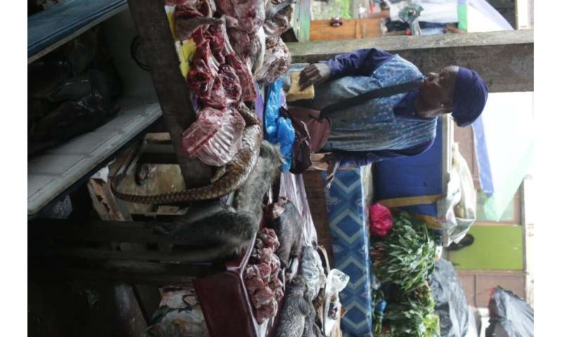 Bushmeat: A market stall in Libreville, the Gabonese capital, where pangolin and other wild animals are sold for food
