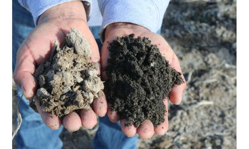 Char application restores soil carbon and productivity