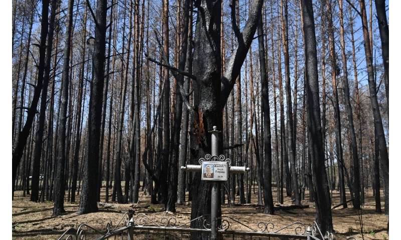 Charred trees loom over a grave at the cemetery near Rozsokha inside the Chernobyl exclusion zone following the worst fire since