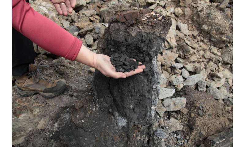 Coal-burning in Siberia led to climate change 250 million years ago