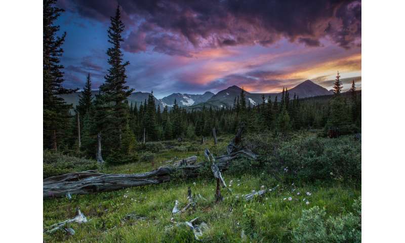 Colorado mountains bouncing back from 'acid rain' impacts