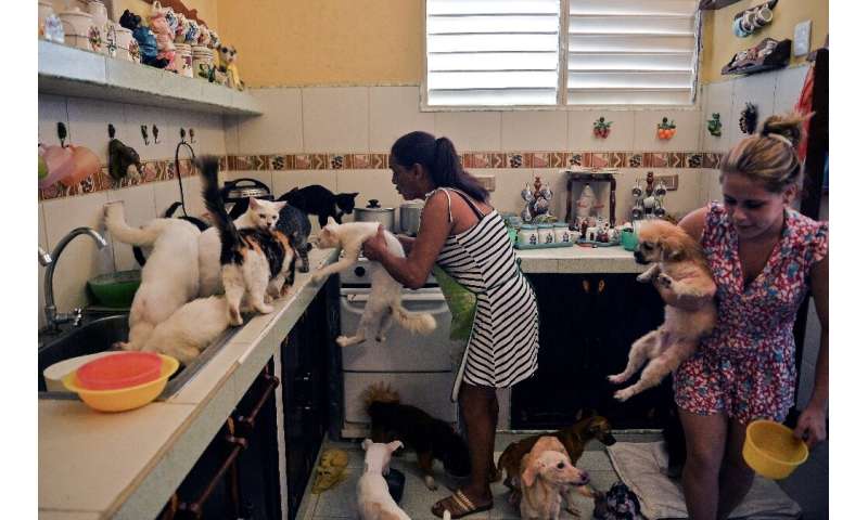 Cuban Noris Perez and her daughter feed cats and dogs at a private animal shelter in Havana—Cuba will soon pass its first law to