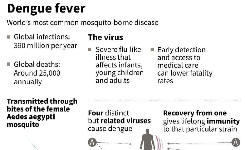 Dengue fever is the world's most common mosquito-borne virus