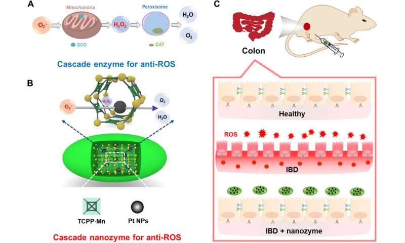 Designer nanozymes for reactive-oxygen species scavenging anti-inflammatory therapy