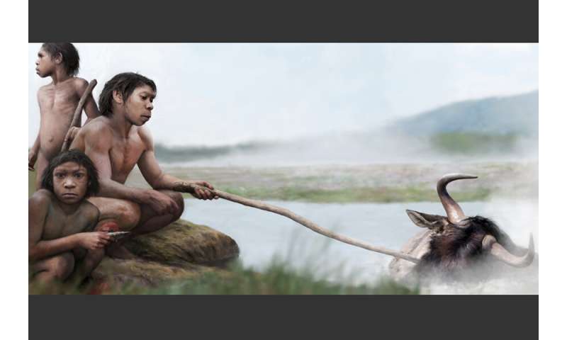 Did our early ancestors boil their food in hot springs?