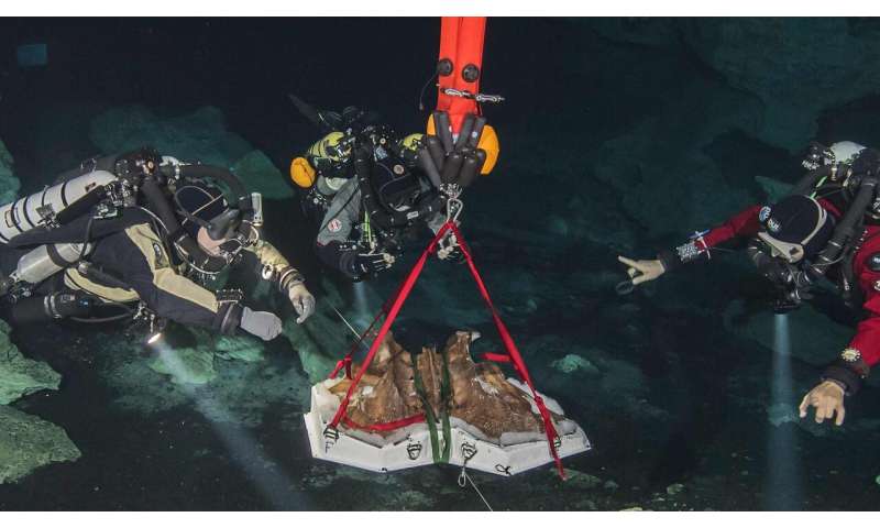 Diving for the bones of the Ice Age