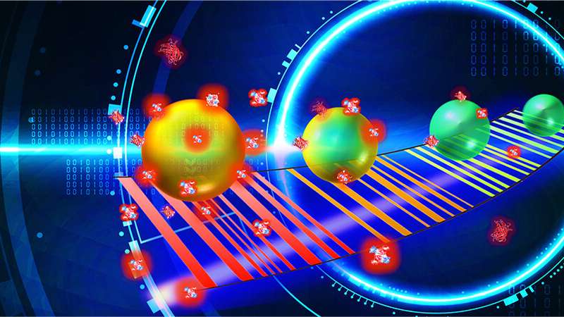 Dynamic photonic barcodes record energy transfer at the biointerface