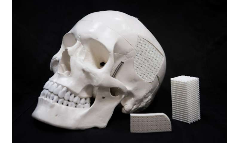 Eggshell-based surgical material for skull injuries